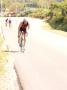 gal/Triathlon Pornic 2007/_thb_P1150915.JPG